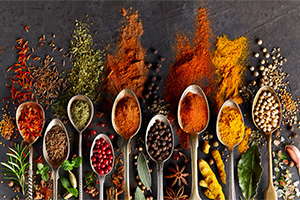 ادویه‌های هاضم متعادل