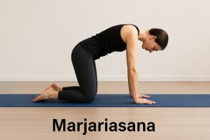 Marjariasana